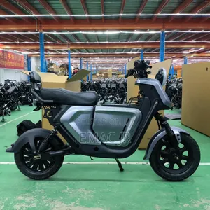 New Motorcycle 2025