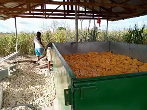 Grain Drying Machine