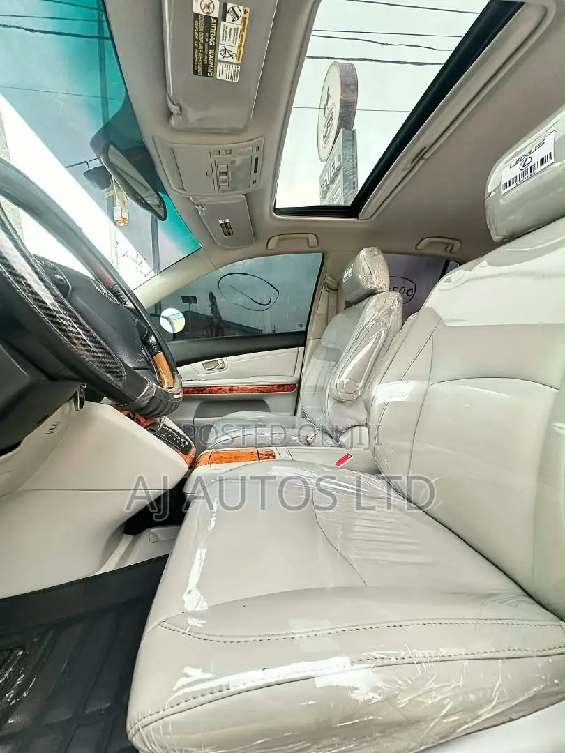 Lexus RX 350 AWD 2009 Silver