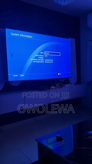 PlayStation4+ 2pdas+ 10games