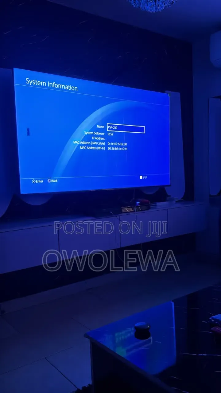PlayStation4+ 2pdas+ 10games