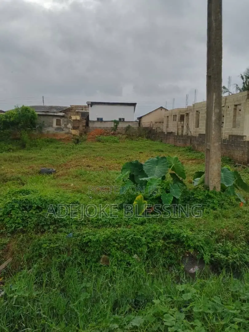 Half Plot for Sale