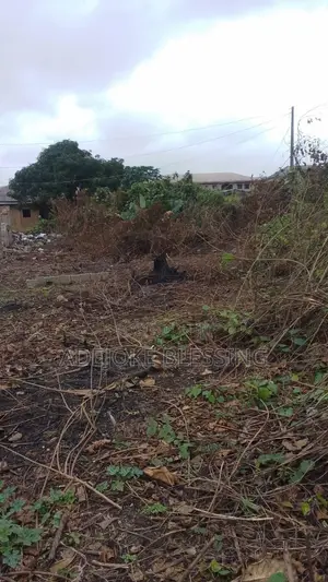Half Plot for Sale