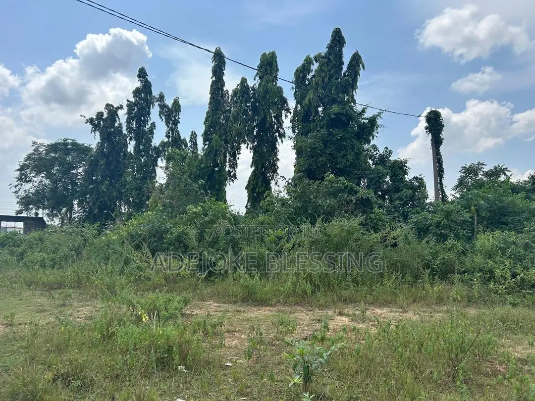 Half Plot for Sale
