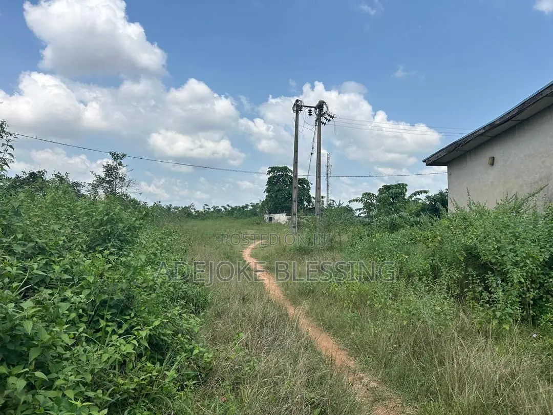 Half Plot for Sale