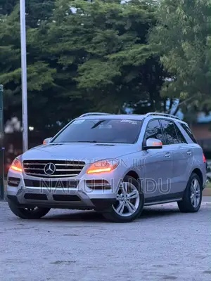 Mercedes-Benz M Class 2015 Silver