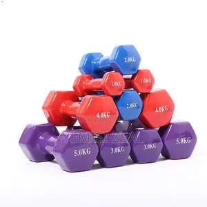 Aerobics Dumbbell Pair Set