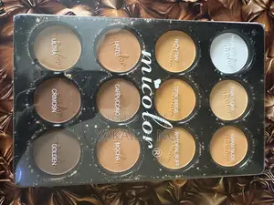 12 in 1 Powder Pallete