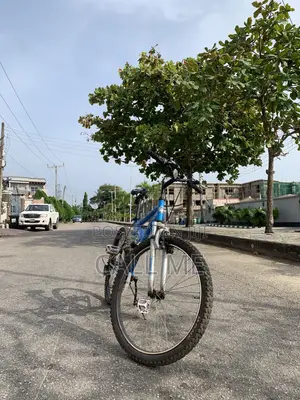 Mountain Bicycles (Blue Dream Sunny)