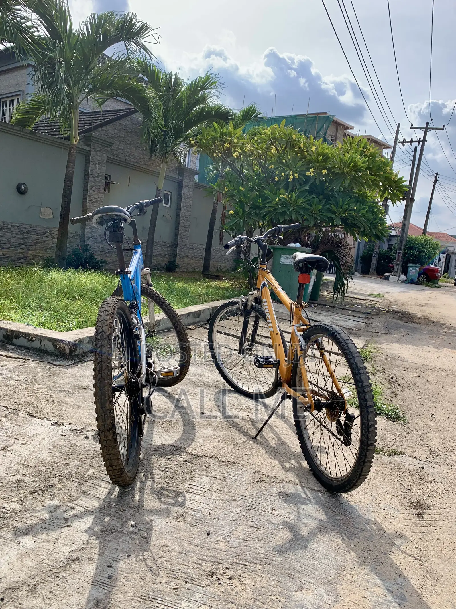 Mountain Bicycles (Blue Dream Sunny)