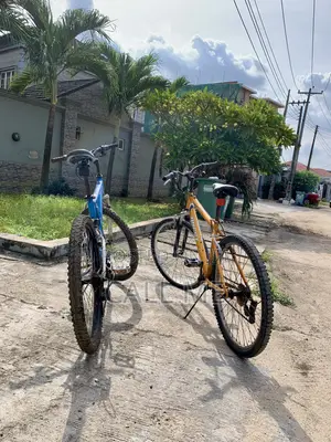 Mountain Bicycles (Blue Dream Sunny)