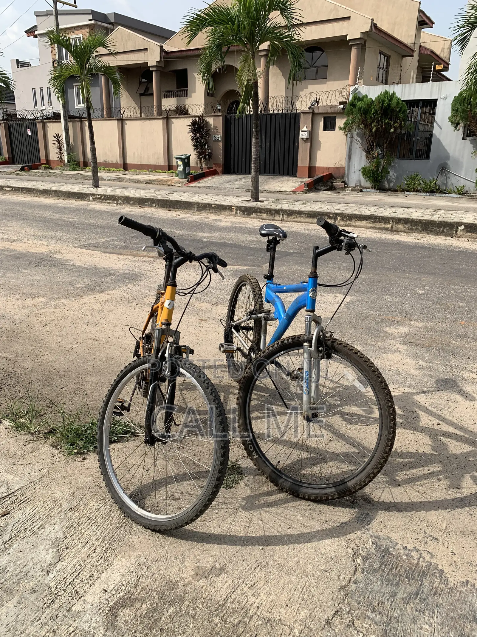 Mountain Bicycles (Blue Dream Sunny)