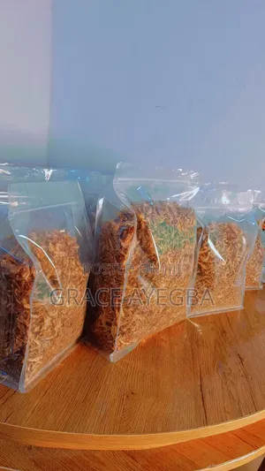 Oron Crayfish
