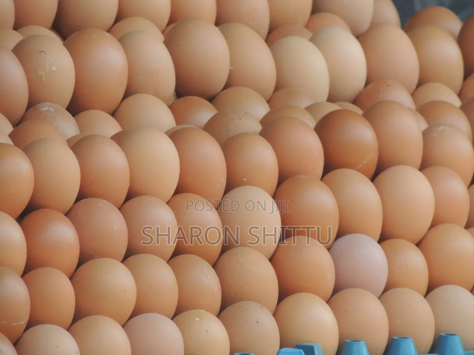 Farm Produce