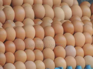 Farm Produce