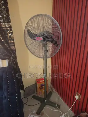 Ox Fan for Sale