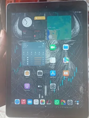 Apple iPad 5 (2022) 32 GB Gray
