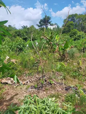 Land Measuring 100ft X100ft for Sale