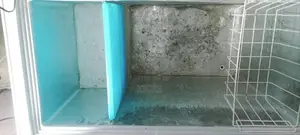Deep Freezer