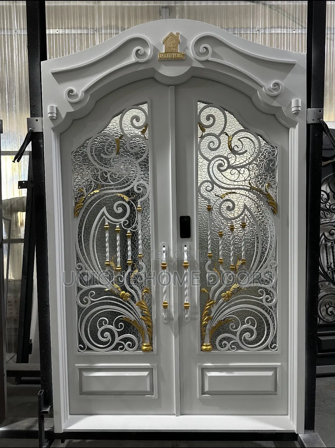 Unique Home Doors - Entrance Door