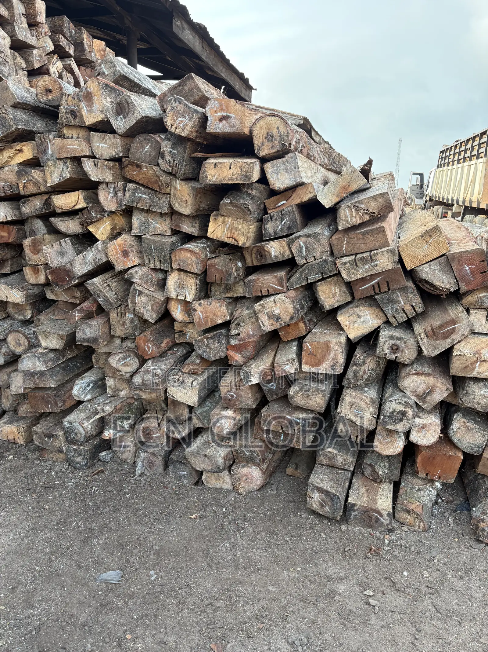 Ashwele Hard Timber Cubic