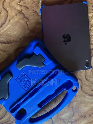 Apple iPad mini 6 64 GB Gray