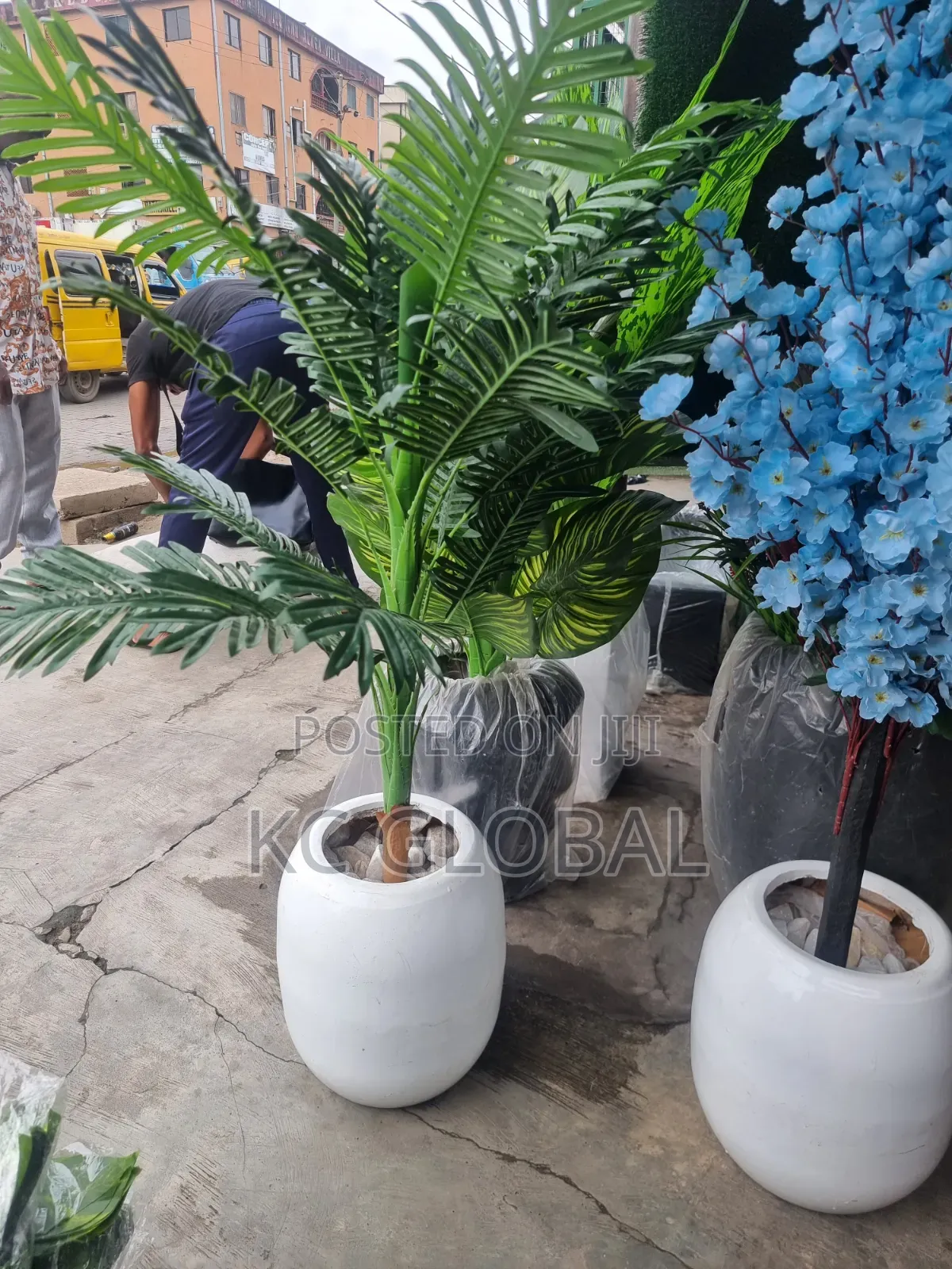 Beautiful Flower and Vase