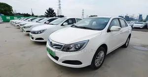 BYD E5 450 2019 White