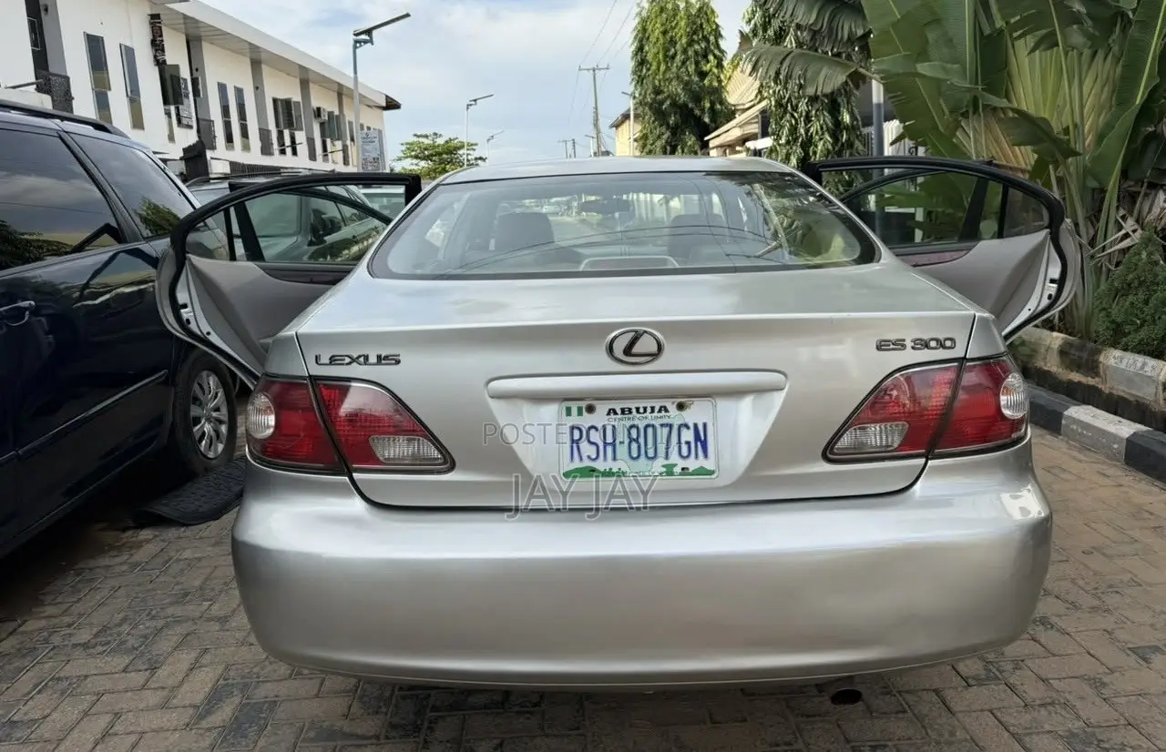 Lexus ES 300 2004 Gray