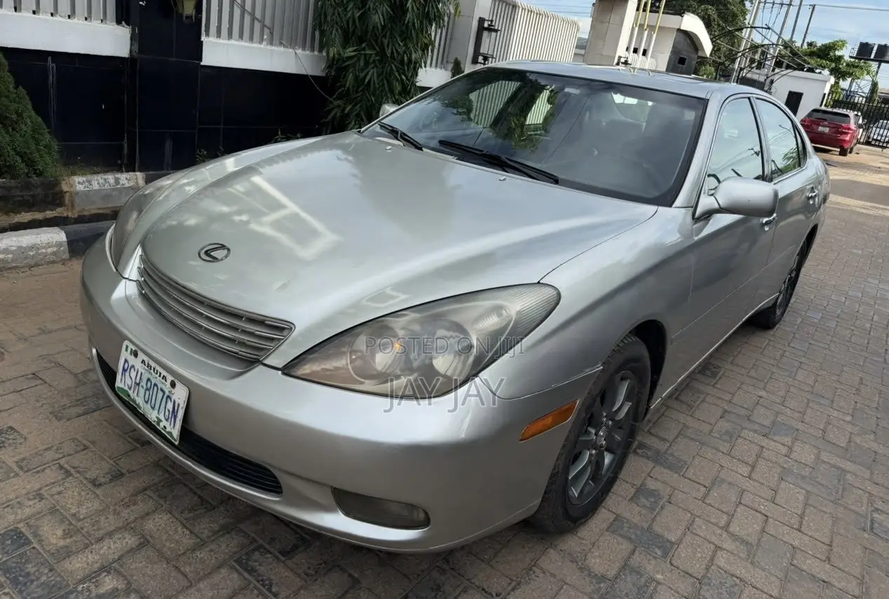 Lexus ES 300 2004 Gray