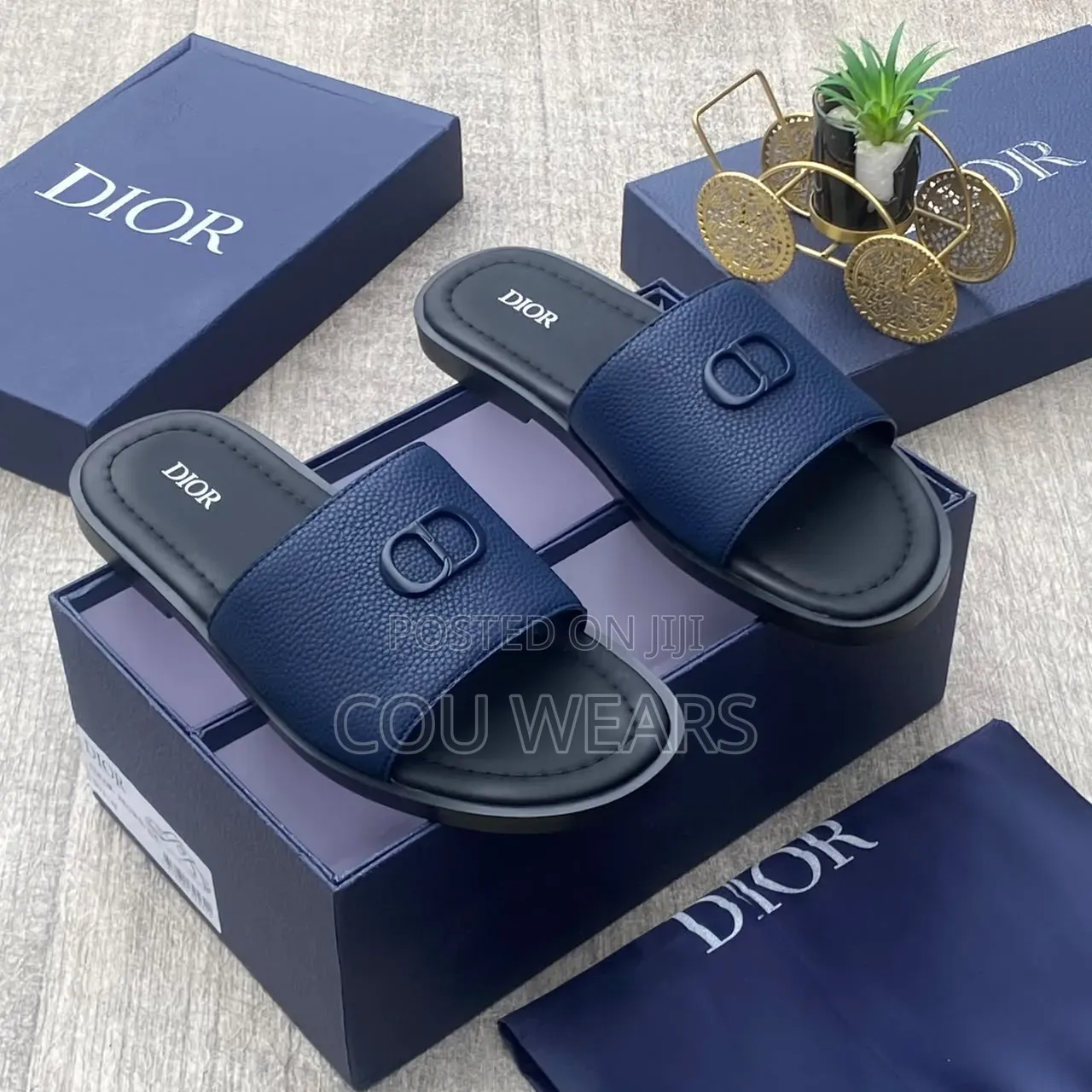 Dior Slide