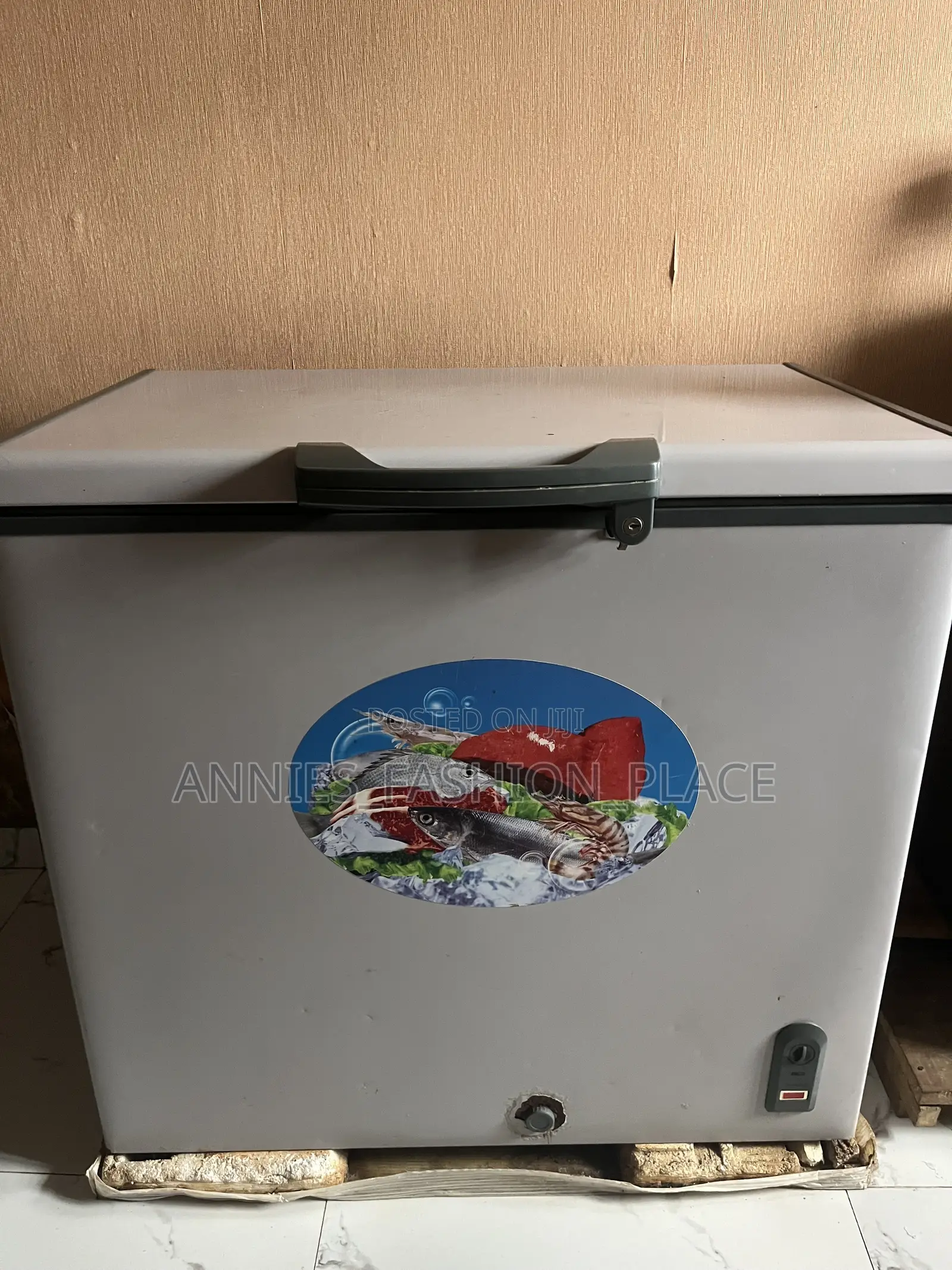 Used Freezer
