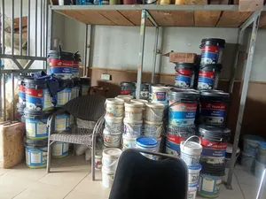 High Quality Trans-Safe Emulsion Paint