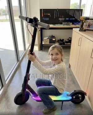 Brand New Premium Foldable Electric Scooter – Sealed Box