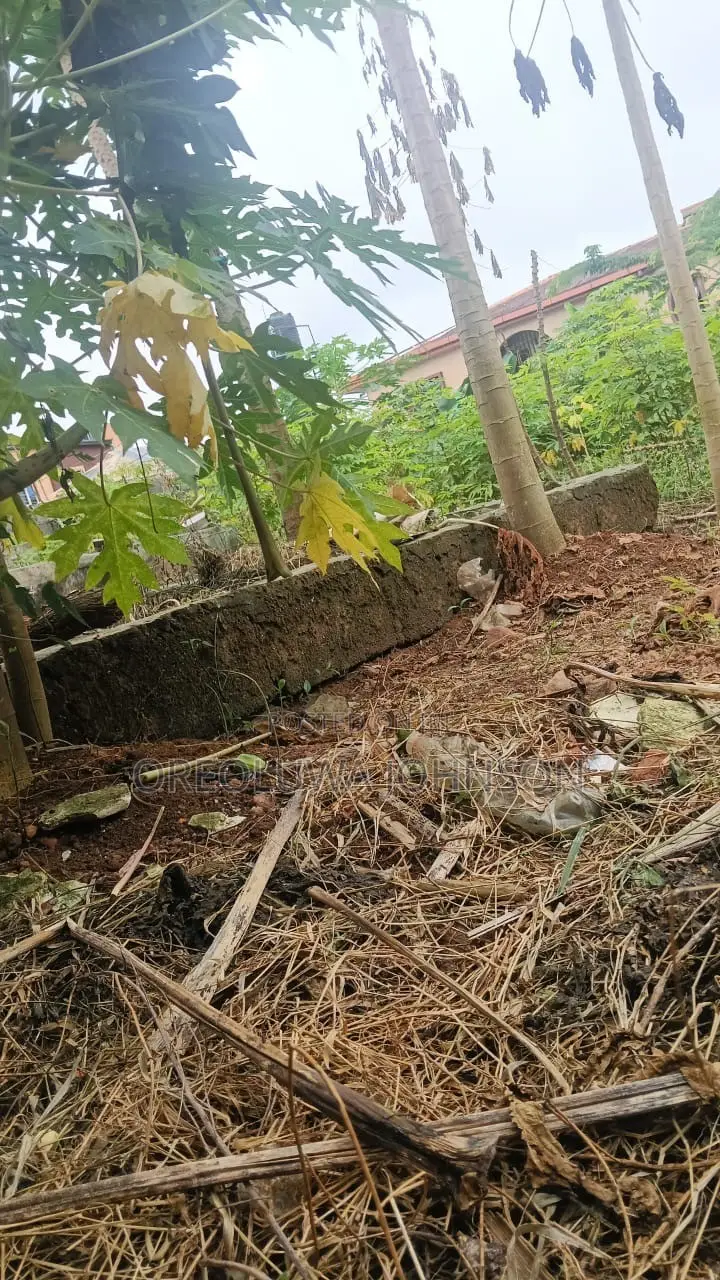 Empty Land for Sale