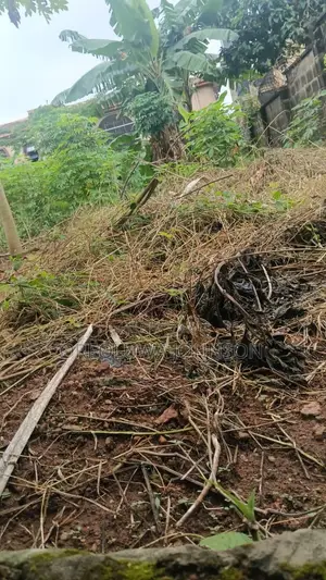 Empty Land for Sale