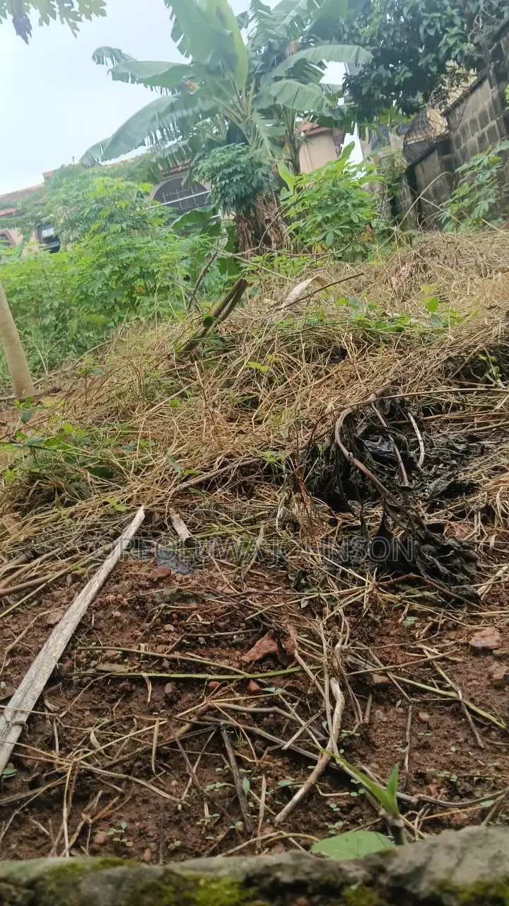 Empty Land for Sale