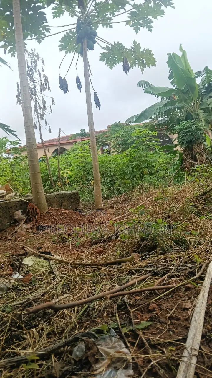 Empty Land for Sale