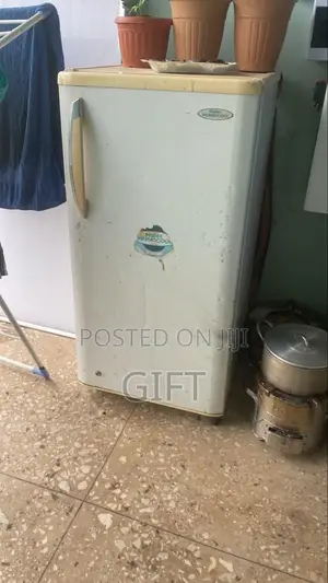 Thermocool Fridge at 