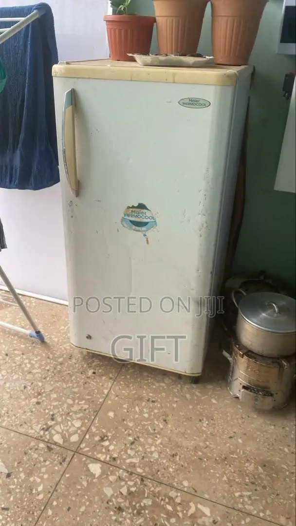 Thermocool Fridge at 