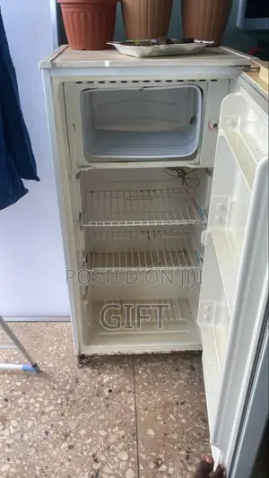 Thermocool Fridge at 