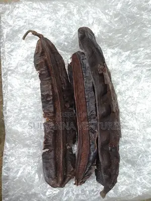 Aidan Fruit (Prekese)