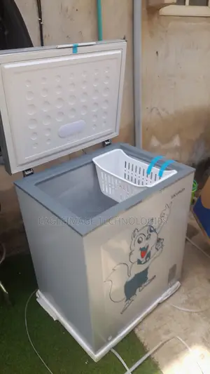 Brand New Skyrun BD-180AI Chest Freezer
