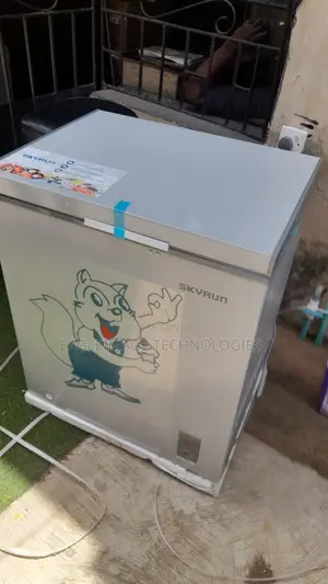 Original Skyrun BD-180AI Deep Freezer