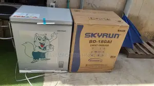 Original Skyrun BD-180AI Deep Freezer