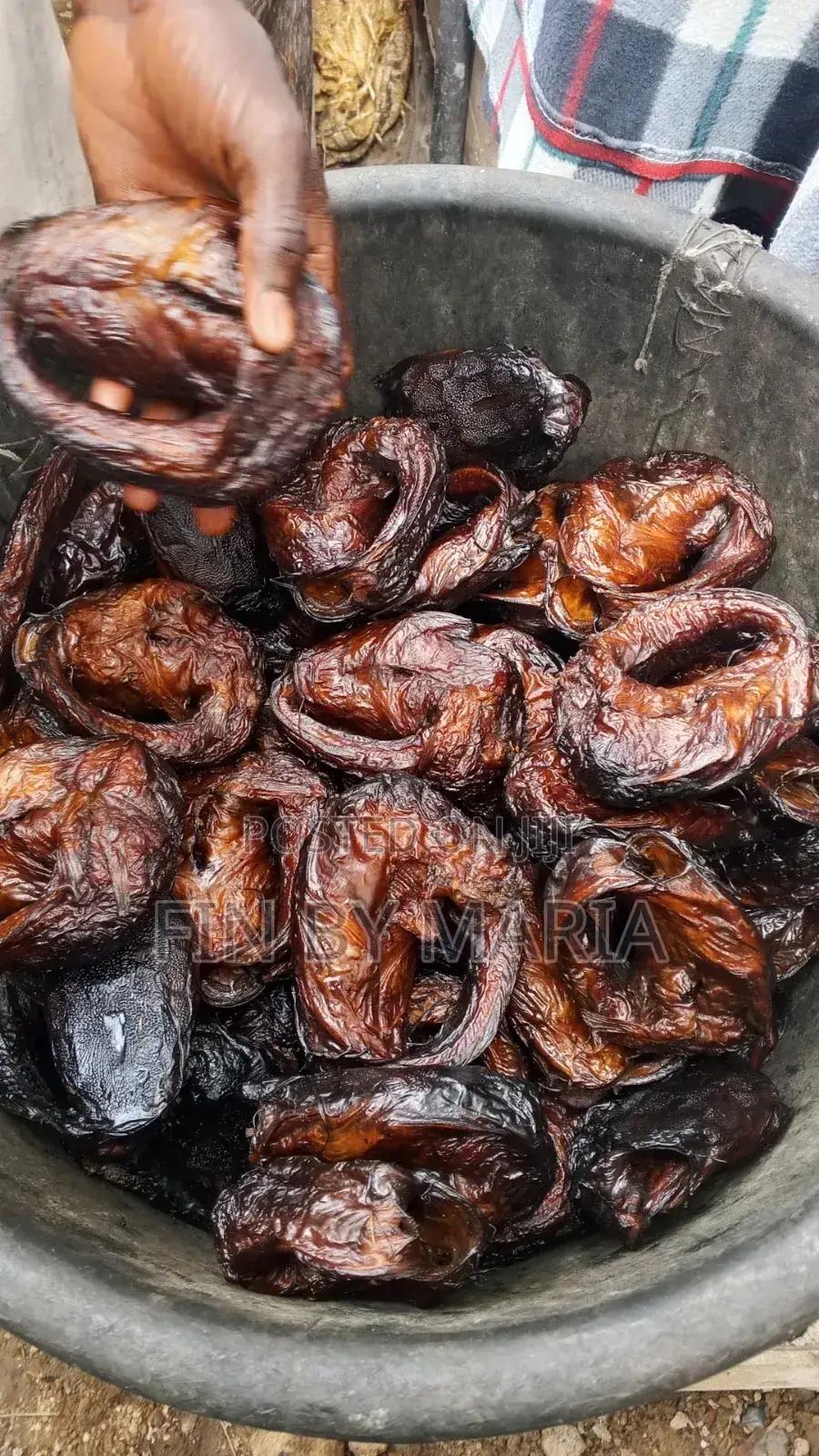 Freshly Smoked Catfish