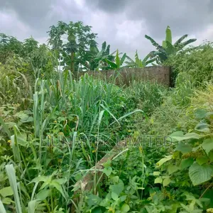 1 Plot of Land at Igwuruta, Army Range Izo Umujulu Omueke, PH