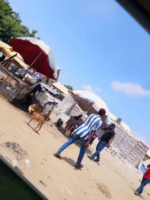 Dangote Cement Suberp Wholesale