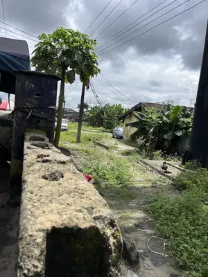 Deed of Conveyance at Eagle Island PHC