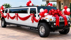 Wedding Car Ribbon Decoration Specialist